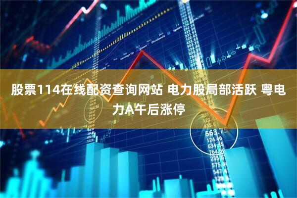 股票114在线配资查询网站 电力股局部活跃 粤电力A午后涨停