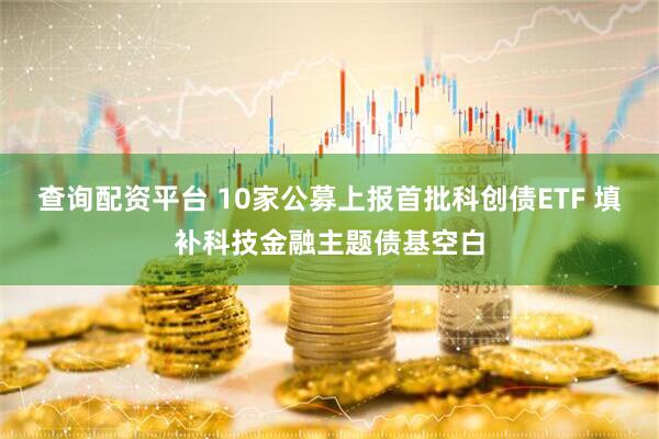 查询配资平台 10家公募上报首批科创债ETF 填补科技金融主题债基空白