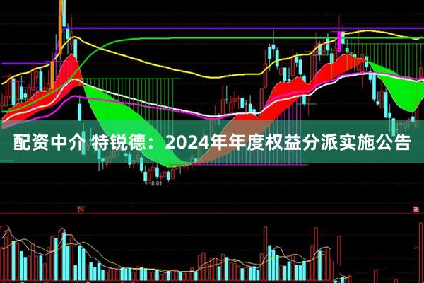 配资中介 特锐德：2024年年度权益分派实施公告