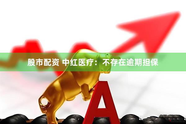 股市配资 中红医疗：不存在逾期担保